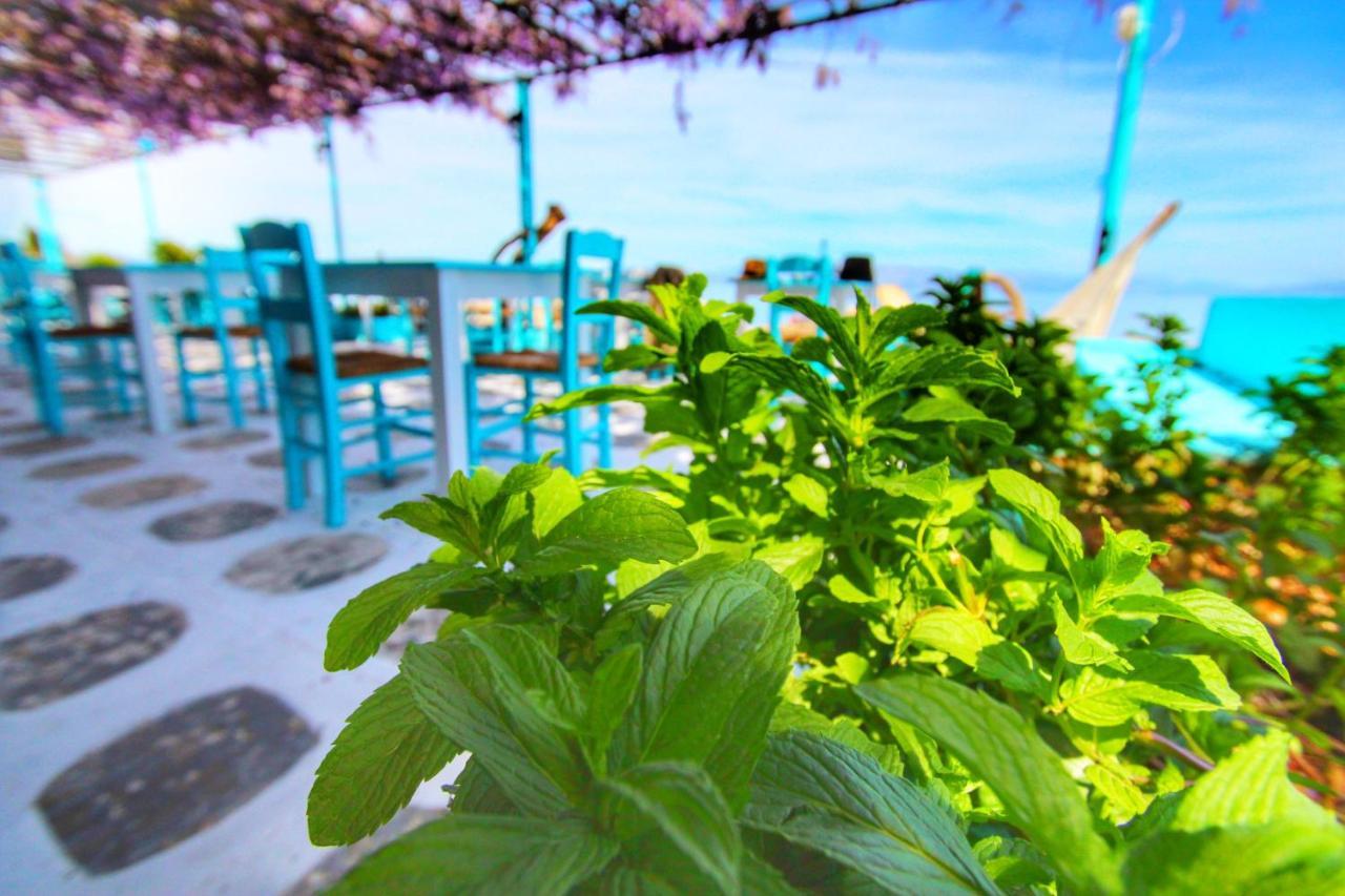 Benitsa Beach Hotel Achílleion Extérieur photo